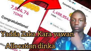 Yadda Zaka Kara allocation dinka a tomarket Kafin listing [upl. by Fahy120]