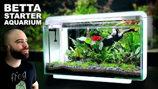 The Budget BETTA Setup You Cannot Miss [upl. by Cusack]