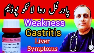 Lycopodium Homeopathic medicine ke Fayde in Hindi [upl. by Mccahill896]