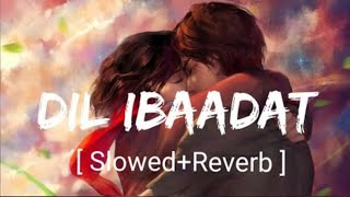 Dil Ibaadat SlowedReverb KK  Tum Mile  Textaudio [upl. by Boucher890]