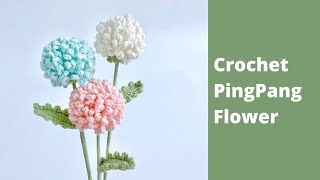 ✿ How to crochet a PingPang Flower  Crochet Flowers Bouquet Tutorial [upl. by Aicinat]