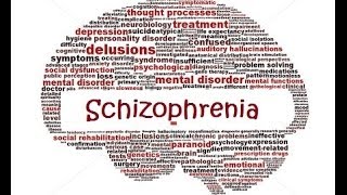 Asperger Syndrome A Form of Schizophrenia [upl. by Wenda]