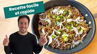 Bœuf haché et aubergines  Recette facile et rapide [upl. by Pellikka55]