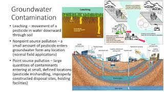 Environmental Concerns of Pesticide Use [upl. by Conley]