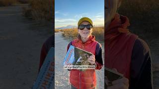 Hiding books in Free Little Libraries while we travel [upl. by Cataldo390]