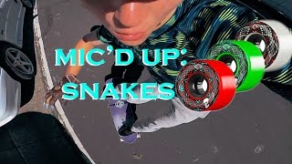 Powell Peralta Snakes Micd up Ride and Review [upl. by Onin]