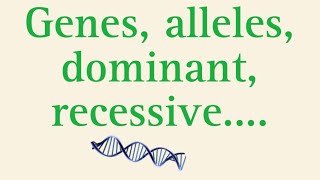 what are genes allelesdominant [upl. by Chemash]