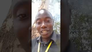 KCSE 2024 EXAM IRREGULARITIES [upl. by Lefton]