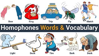 Homonyms Vocabulary  Common Homophones Words amp Vocabulary  Homophones Words [upl. by Fleur376]