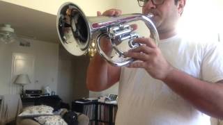 Ultratone Flugelhorn Bugle [upl. by Cooley]