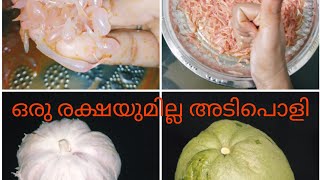 babloos recipe in malayalam [upl. by Haseena]