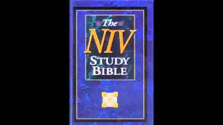 The Book of Genesis NIV Audio Bible Non Dramatized [upl. by Kornher]