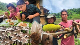 First time trying Nagaland wild mushroom with Roving naga in nagaland [upl. by Ronacin]