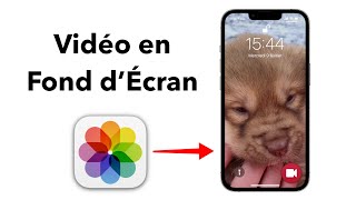 Comment Mettre une VIDÉO en FOND DÉCRAN sur iPhone [upl. by Fagen]