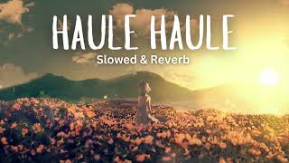 Haule Haule  Sukhwinder Singh slowed amp reverb [upl. by Tsiuqram]