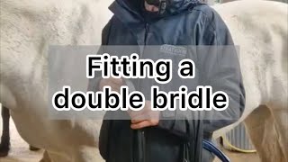 Fitting a double bridle When to use a double bridle Why to use a double bridle [upl. by Anilatac]