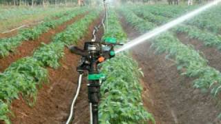 a spriklers system I instaled in India for Jain irrigation co [upl. by Anayt]