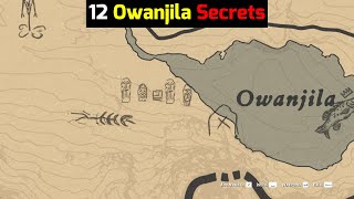 12 Secrets That Players Missed in Owanjila  Red Dead Redemption 2 [upl. by Kelula645]