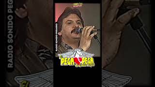 1992  MECANICO DE AMOR  canta Emilio Reyna  El Pega Pega shorts [upl. by Elda]