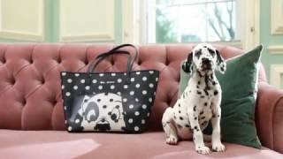 Introducing 101 Dalmatians x Cath Kidston [upl. by Samson302]