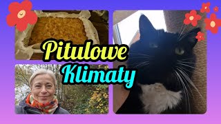 NIEDZIELNE ŚNIADANIE🍳PRZY OKIENKU☕️BAREK A INNE PSY🐾OGARNIAMY PITULOWO🍂COŚ NA ZĄBEK🥧 [upl. by Goulette]