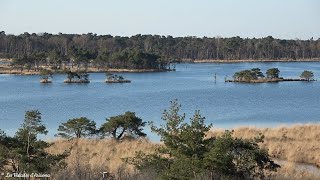 Kalmthoutse Heide  Lange versie  version longue 118km [upl. by Patrizius]