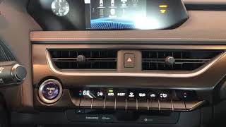 2020 Lexus UX HOW TO Locate And Use Your Stereo System [upl. by Madian]