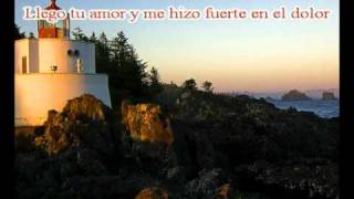 REIKLLEGO TU AMOR KARAOKEmpg [upl. by Bevon184]