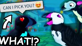 THEY TRIED TO KISS ME on Feather Family Roblox [upl. by Assert]