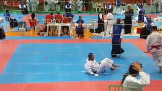 Ippon Mawashi gueri Sensei DANILO Goshinkai [upl. by Gamal]