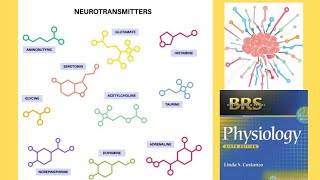 BRS Physiology  Neurotransmitters [upl. by Etnomed]