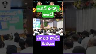 జగన్ పెంచుకున్న పెంపుడు కుక్కలు ycptrolls ysjaganmohanreddy tdptrolls funny comedy chiefminist [upl. by Erdnua]