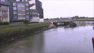 UN PHOQUE DANS LE PORT DE COURSEULLES SUR MER [upl. by Calv102]