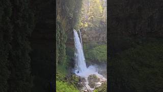 Powerful waterfall in Silver Falls State Park hiking nature shorts [upl. by Nessa]