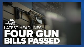 What these 4 new gun laws will mean  Latest headlines [upl. by Davie448]