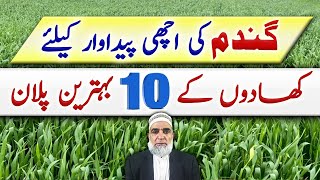 10 Fertilizer plans for wheat crop 202324  Crop Reformer [upl. by Oedama]