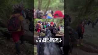 Dominicanos Abandonan el Sueño Americano 🙏 Peligro en la Selva del Darién y la Vuelta por México [upl. by Liew]