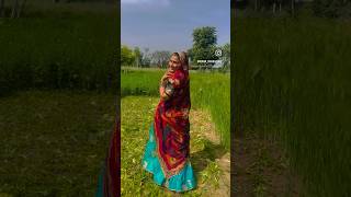 mein kheta mein jao rajasthani song rajasthanisong kiran ytshort sorts [upl. by Enyaj]