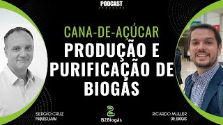 REDUZINDO CAPEX EM PLANTA DE BIOMETANO Inovações p Usinas de CanadeAçúcar Dr Biogas Podcast [upl. by Adala391]