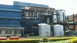 Nzoia Sugar Company Boycott [upl. by Ahsena]