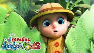 🌴 En el Medio de la Selva  LooLoo Kids Español 🎶  Canciones Infantiles para Jugar y Aprender [upl. by Gnouhc]