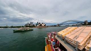 Australia Day Ferrython 2024 Circular Quay [upl. by Ahseen]