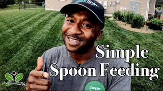 Spoon Feeding and preparing for fungus [upl. by Bethina]