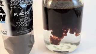 How To Mix Raw Solubles Humic Acid [upl. by Severen]