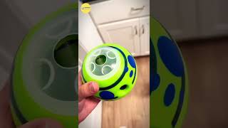 This dog toy is perfect for highly active dogs like mine😂 [upl. by Jecoa]