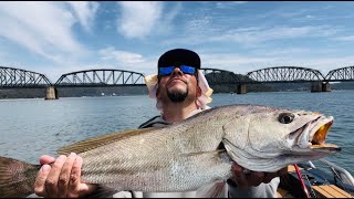 Poseidon Blesses Us With SILVER Fishing The HAWKESBURY [upl. by Asim]