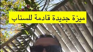 ميزة جديدة قادمة للسناب 😍 [upl. by Chaves]