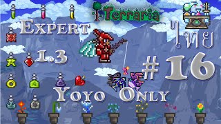 Terraria 13 Expert 16 Yoyo Only ฟาร์มสมุนไพรใช้ได้ยันโลกแตก [upl. by Naleag814]