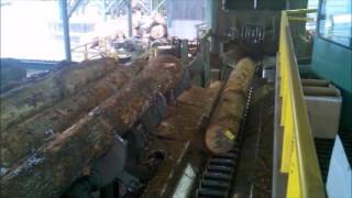 Hull Forest Products  Debarking Oak Logs  Ring Debarker [upl. by Dahcir541]