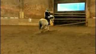 Lockeres Reiten 301113 [upl. by Phionna]